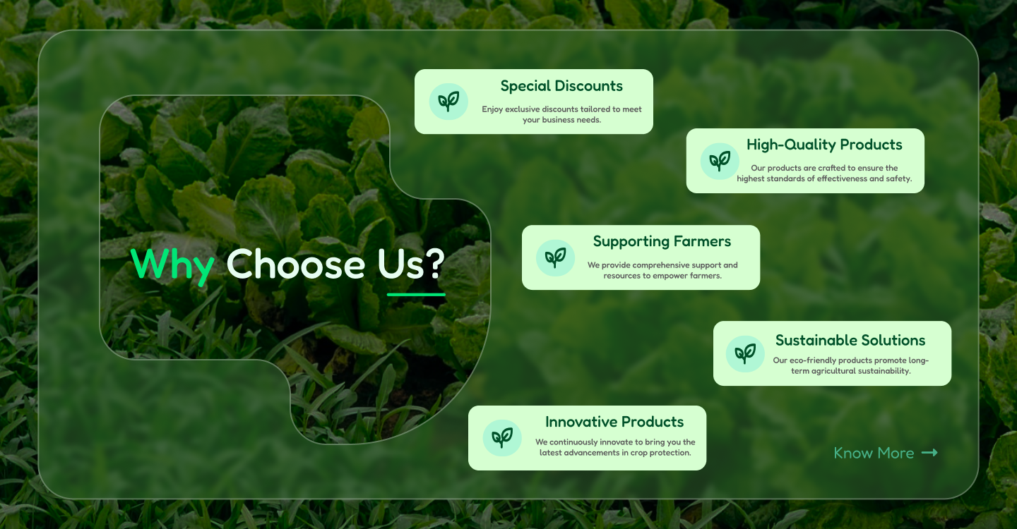 Why Choose Us Image